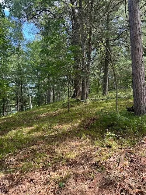 Spooner, WI 54801,003 Little Bass Lake Road