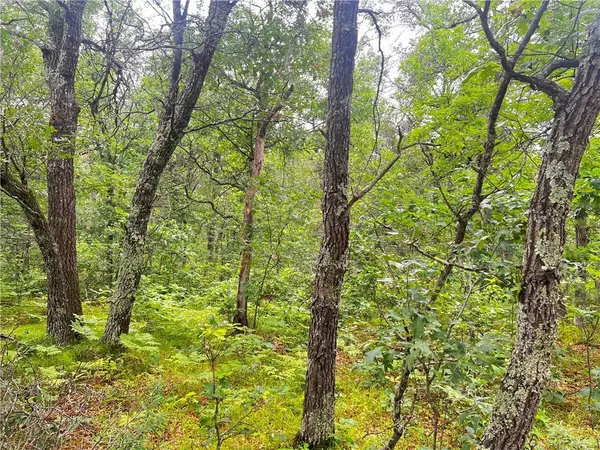 Minong, WI 54859,Lot 10 White Oaks Trail