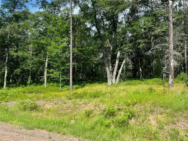 Danbury, WI 54830,Lot 65 Three Mile Road