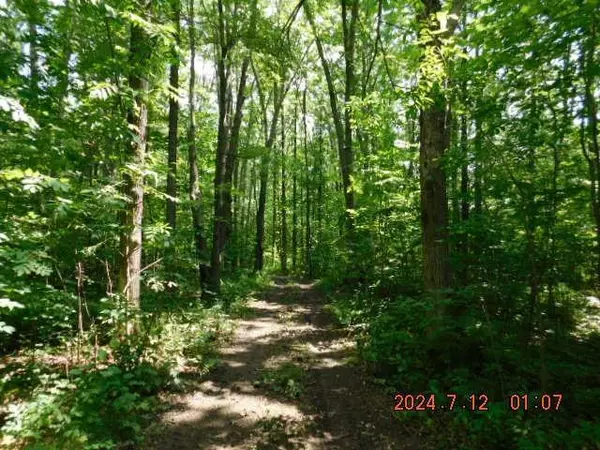 Lot 4 County Highway F, New Auburn, WI 54757