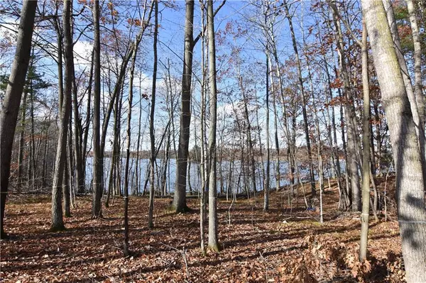 Chetek, WI 54728,Lot 12 Deerhead Point Road