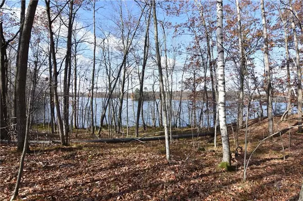 Chetek, WI 54728,Lot 12 Deerhead Point Road