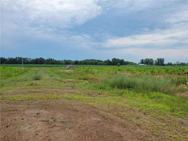 Turtle Lake, WI 54889,XXX 11 1/2 Avenue