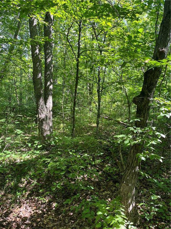 Minong, WI 54859,XX HWY 77