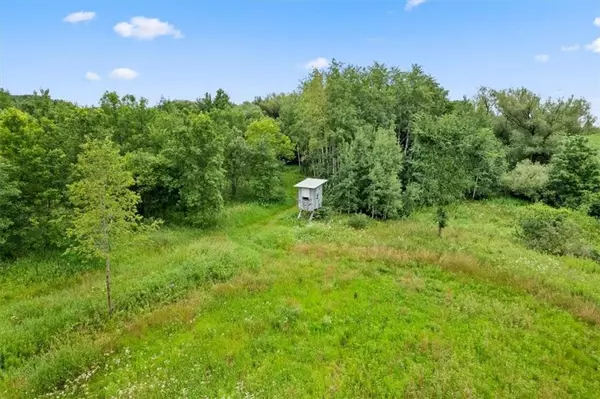 Glenwood City, WI 54013,20 acres County Road