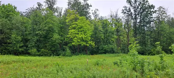 0 Musky Point Drive, Stone Lake, WI 54876