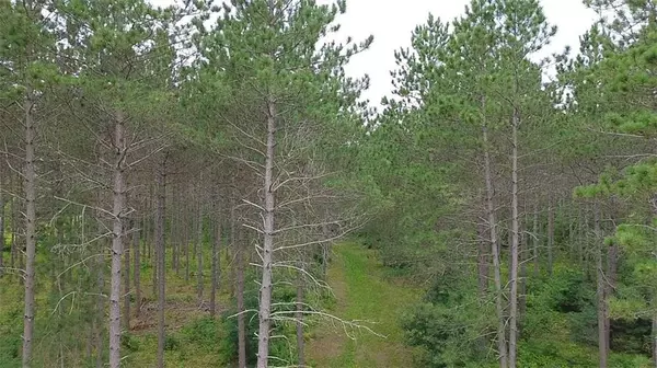 Spooner, WI 54801,N/A 5th Avenue