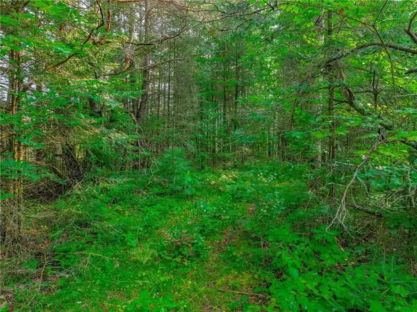 XXXX W Moose Lake Road, Hayward, WI 54843