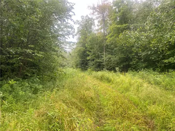 Near Timber Road, Catawba, WI 54515