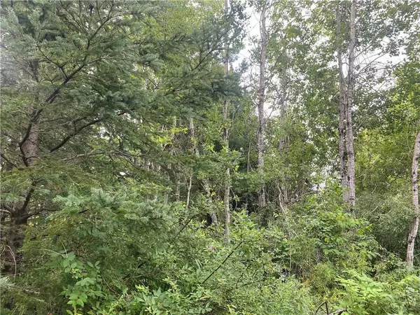 Winter, WI 54896,On Delap Lane