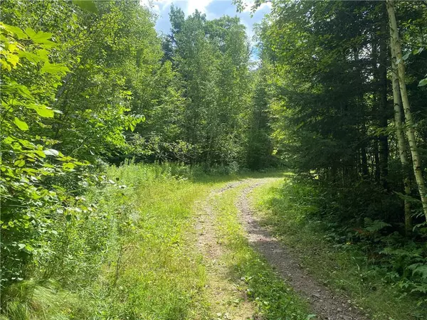 Near Warren Road, Fifield, WI 54524