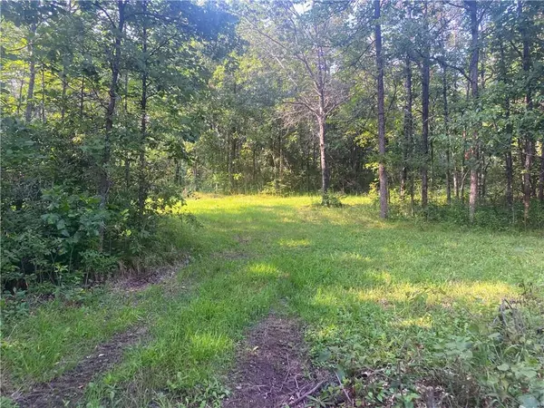 Danbury, WI 54830,Lot 2 State Hwy 77