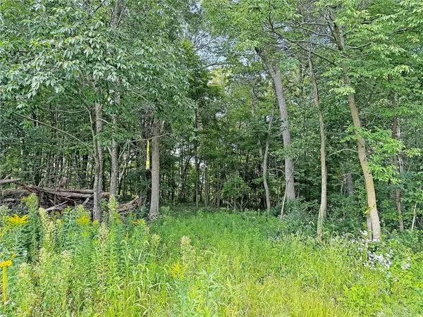 XXX 57th Avenue, Osceola, WI 54020