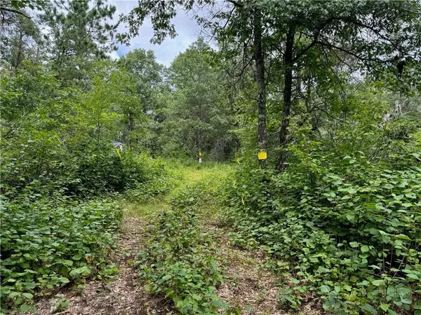 Danbury, WI 54830,4902 Twisted Oak Trail