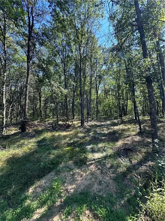 Black River Falls, WI 54615,0 Bauer Road