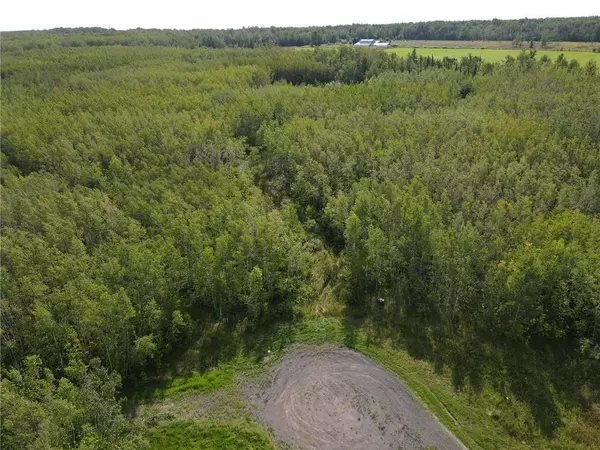 TBD Bluff Creek Trail, South Range, WI 54880