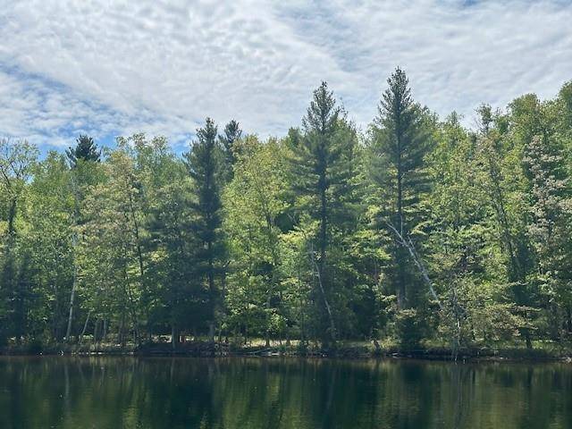 Hayward, WI 54843,0 Lot 2 Big Spider Lake Road