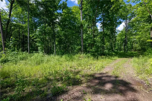 Hayward, WI 54843,Lot 20 Preserve Road