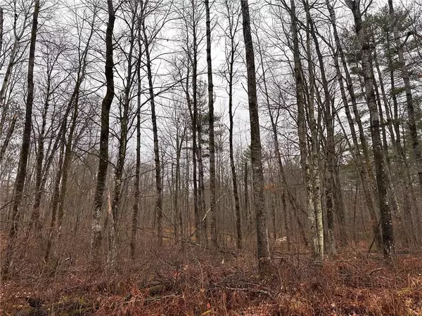 Lot 2 McGilligan Road, Hayward, WI 54843