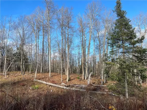 Iron River, WI 54847,0 State Highway A