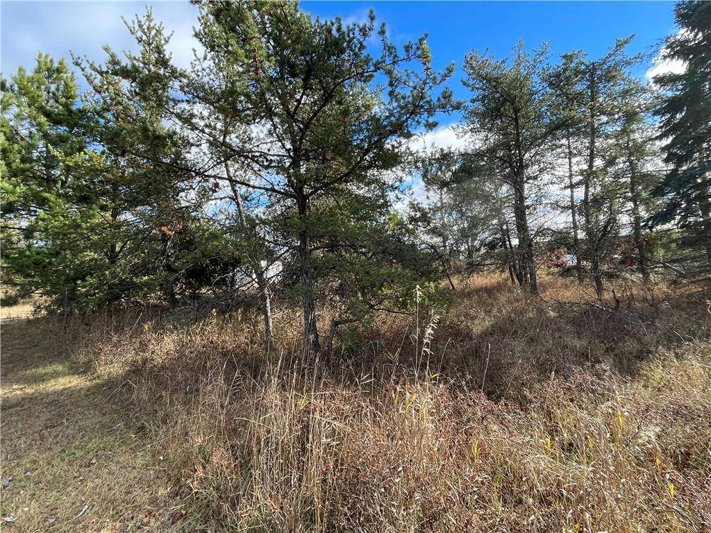 Hayward, WI 54843,Lot 2 Ranch Road