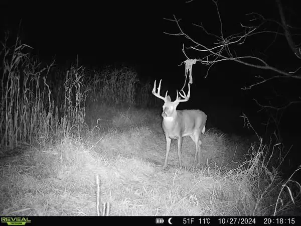 Blair, WI 54616,XX Folkman