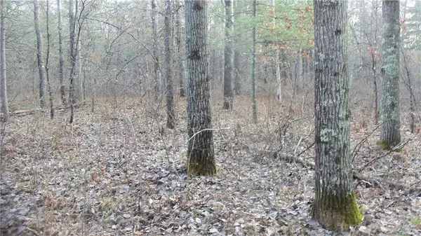 Minong, WI 54859,Lot 2 Gilmore Dr