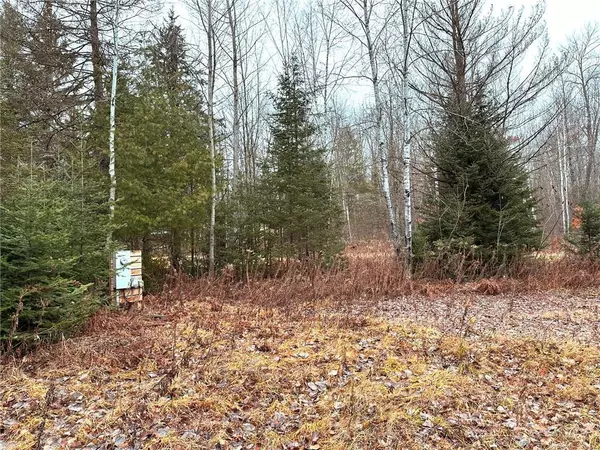 Winter, WI 54896,6629 W Golf Course Road