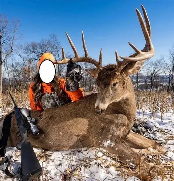 Nelson, WI 54756,W1456 Serum Road