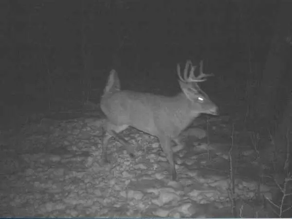 Nelson, WI 54756,0 County Road J