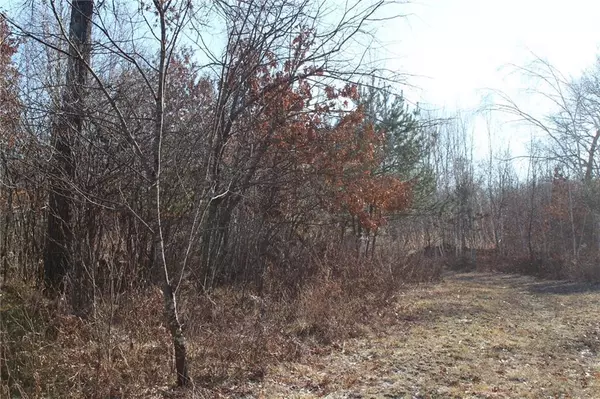 Siren, WI 54872,5739 Dake Road