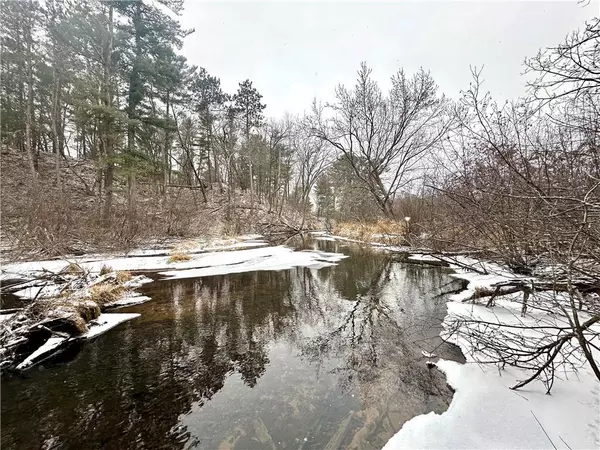 Chetek, WI 54728,23.85 Acres 7 5/8 Avenue