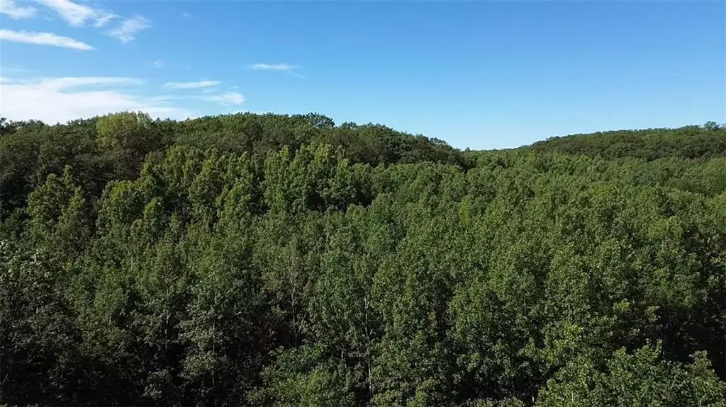 Birchwood, WI 54817,Parcel 2 County Highway T