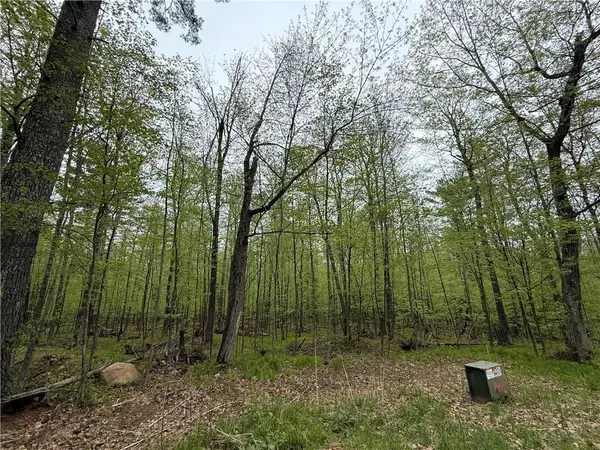 Cable, WI 54821,Lot 35 Woodcrest Drive