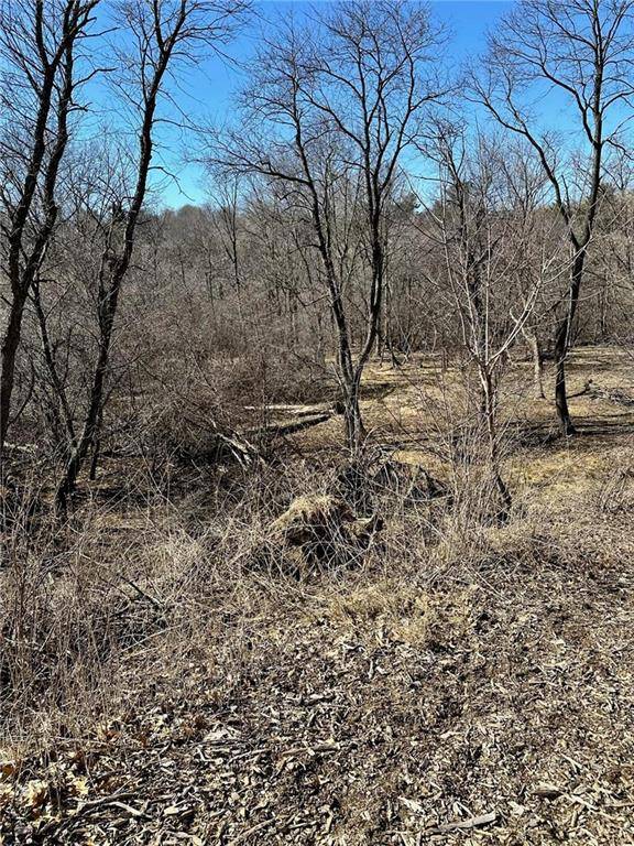 Menomonie, WI 54751,XX River Heights Road