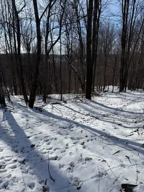 Osseo, WI 54758,0 County Rd E