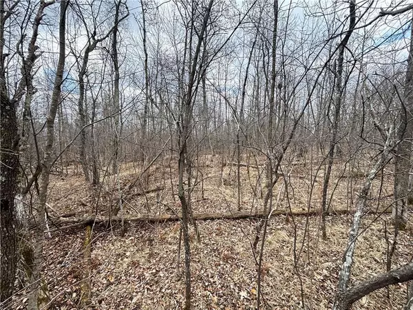 Birchwood, WI 54817,Lot 10 28 3/8 Avenue