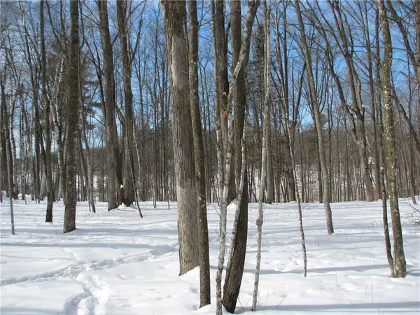 Birchwood, WI 54817,LOT #87 MAPLE Way