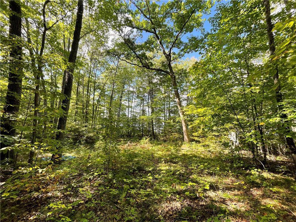 Stone Lake, WI 54876,6091 Rocky Point Lane