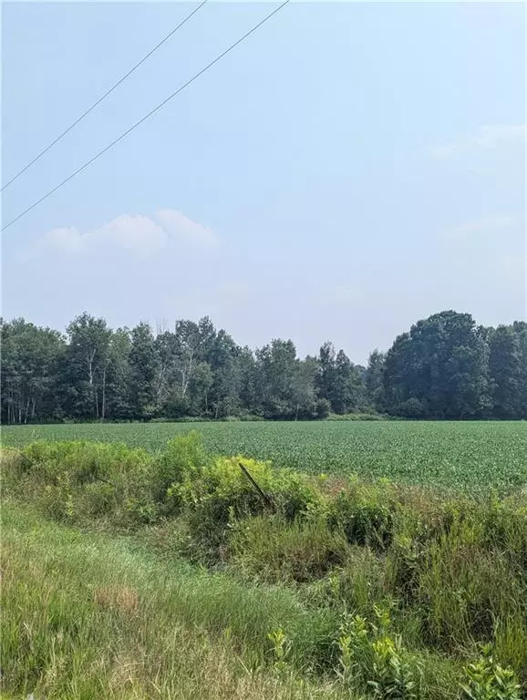 Holcombe, WI 54754,Lot 3 County Highway W