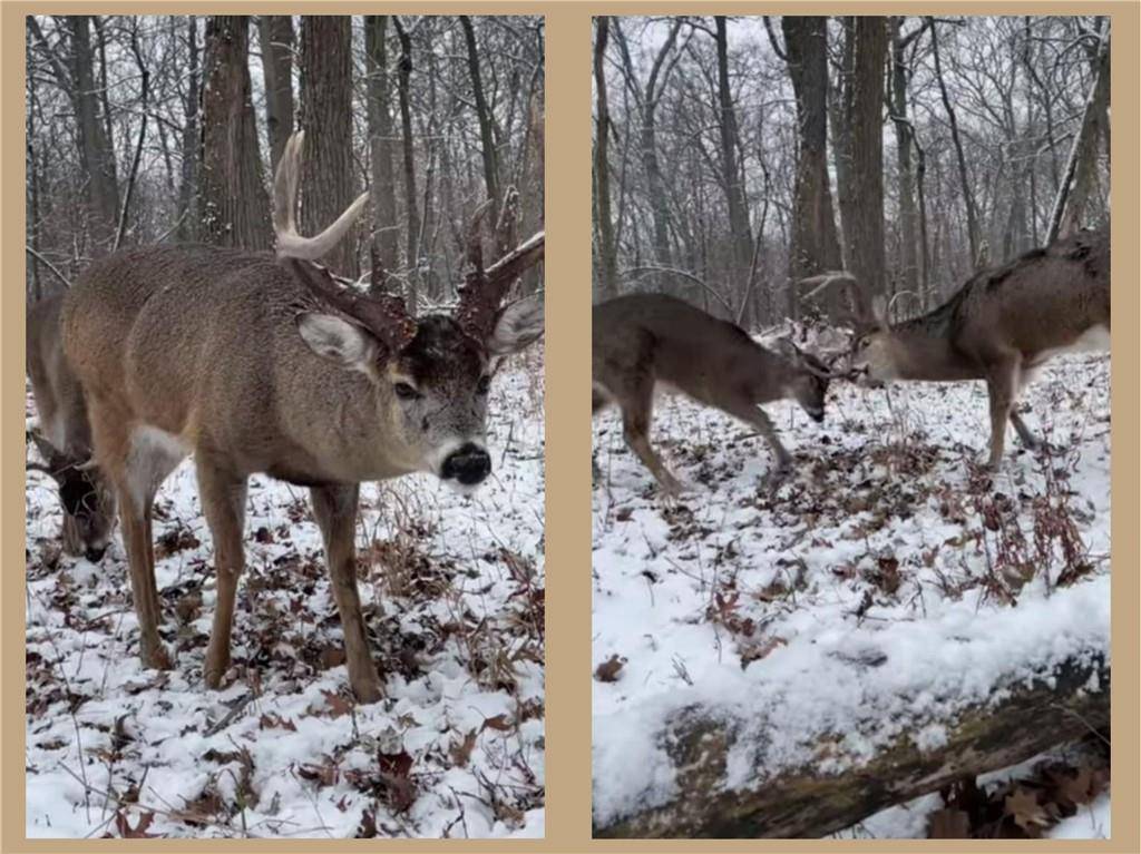 Iron River, WI 54847,70455 Hoover Line Road