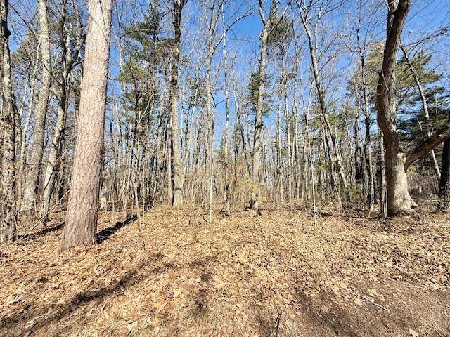 Hayward, WI 54843,Lots 21-29 Badger Road