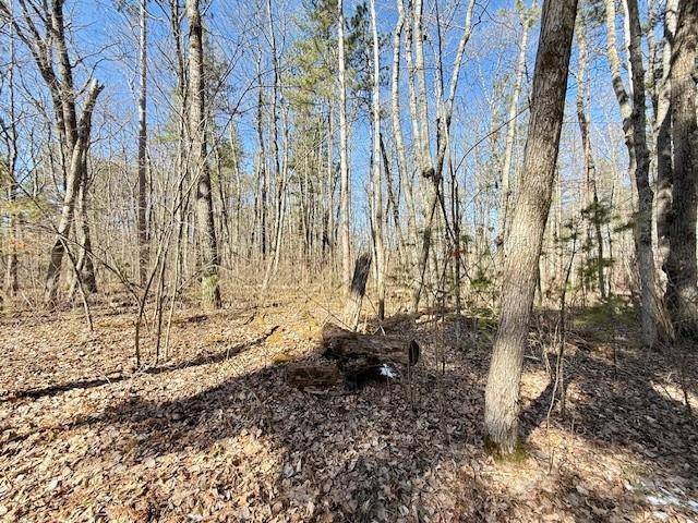Hayward, WI 54843,Lots 21-29 Badger Road
