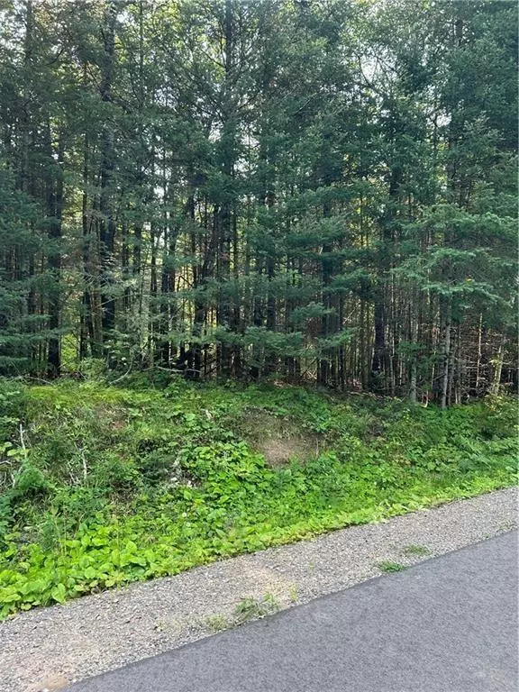 Hayward, WI 54843,Lot 2 Warner Drive
