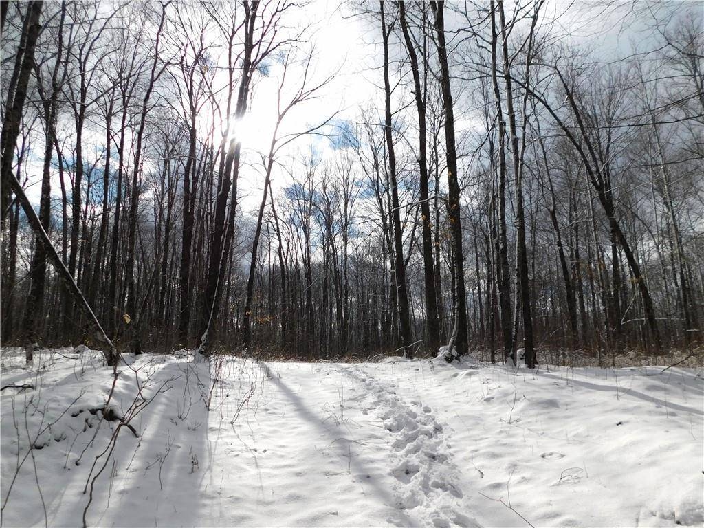 80 Acres off of County Road O, Ogema, WI 54459