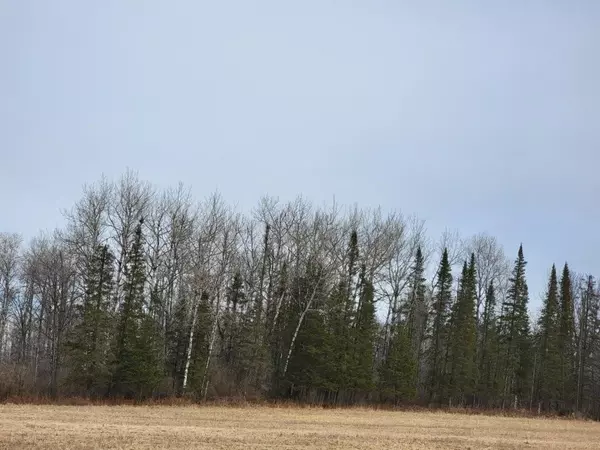 Ojibwa, WI 54862,On Townline Road