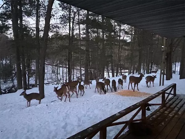 Solon Springs, WI 54873,50015 Outlet Bay Road