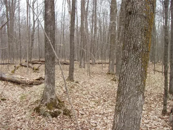 Park Falls, WI 54552,Lot 1 4th Add. Margaret Lane