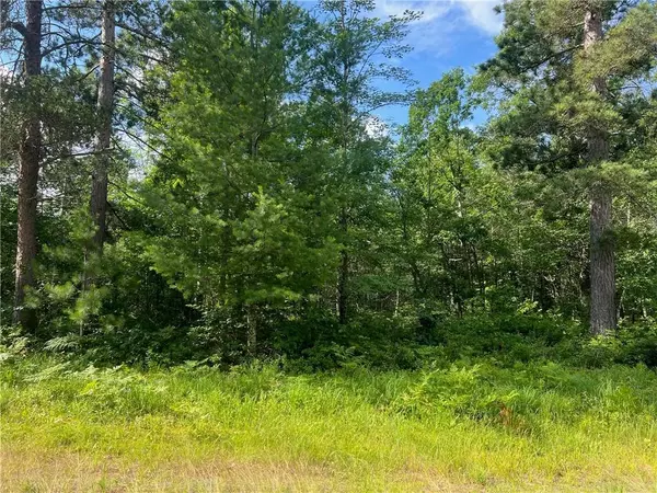 Webb Lake, WI 54830,Lot 36 Dove Road