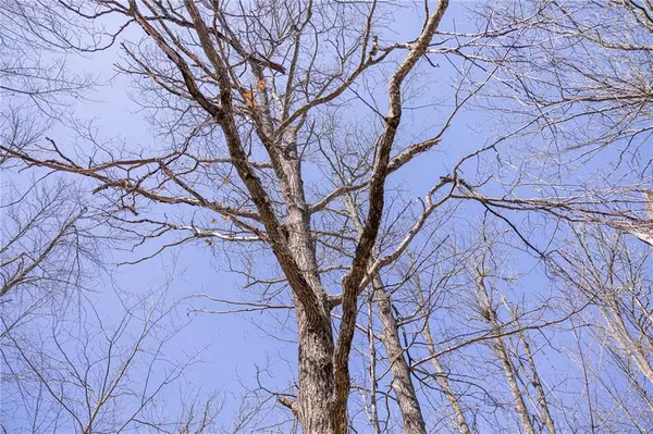 Dairyland, WI 54830,XXX Town Road T